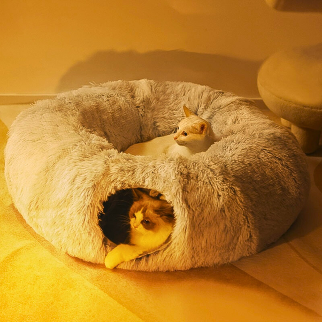 Cama 2 En 1 Para Gatos