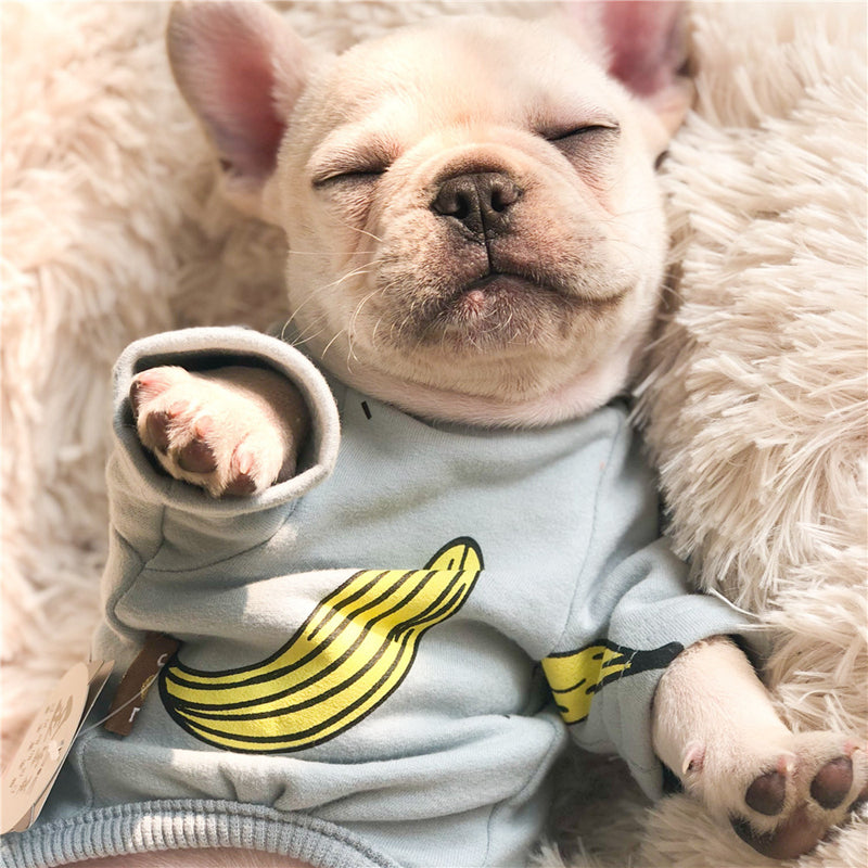 Mono Bananita Para Perro