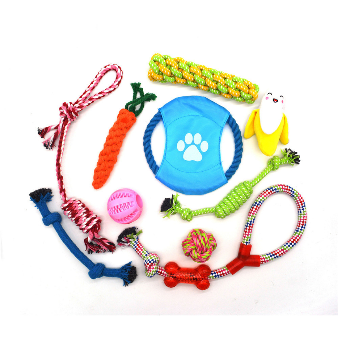 Kit de Juguetes para tu Mascota