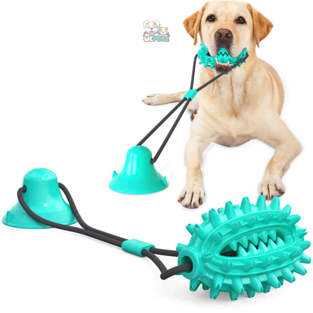 Juguete Tirador con Puerta de Golosinas y Mordedor para Perro
