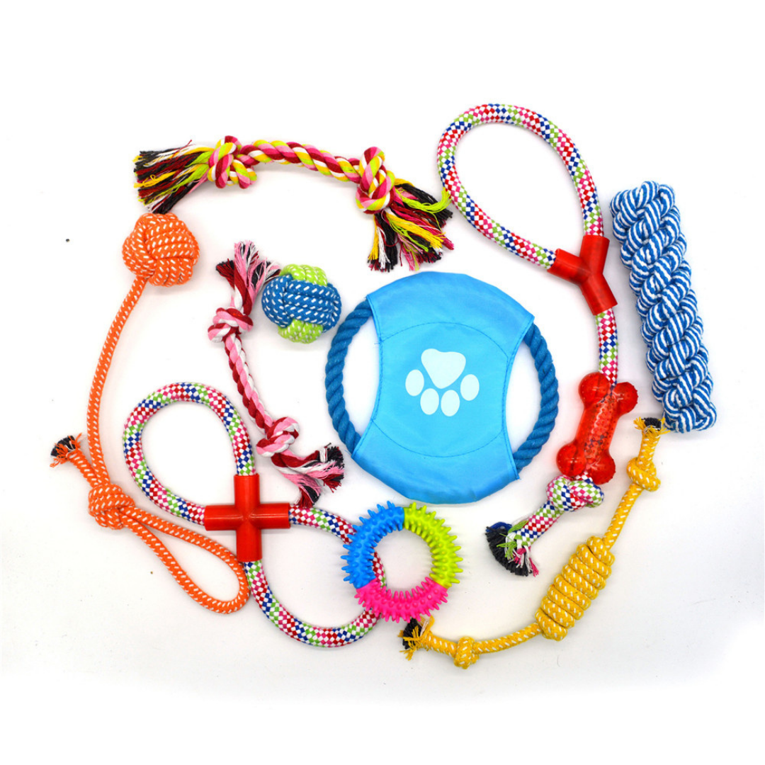Kit de Juguetes para tu Mascota