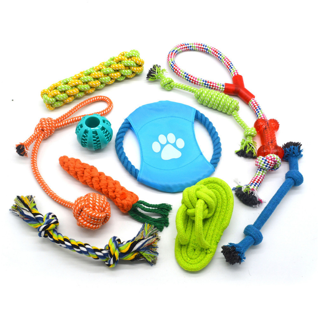 Kit de Juguetes para tu Mascota