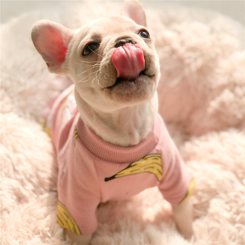 Mono Bananita Para Perro