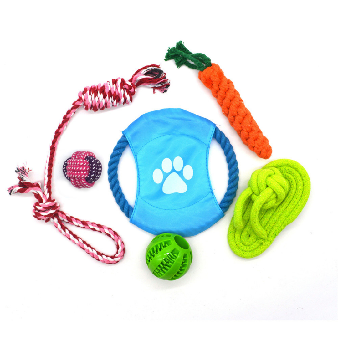 Kit de Juguetes para tu Mascota
