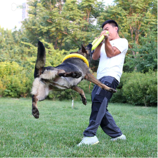 Juguete Mordedor Para Perro - Disco De Entrenamiento