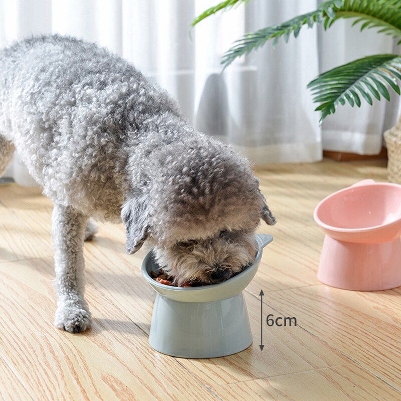 Tazón Alto Para Gatos