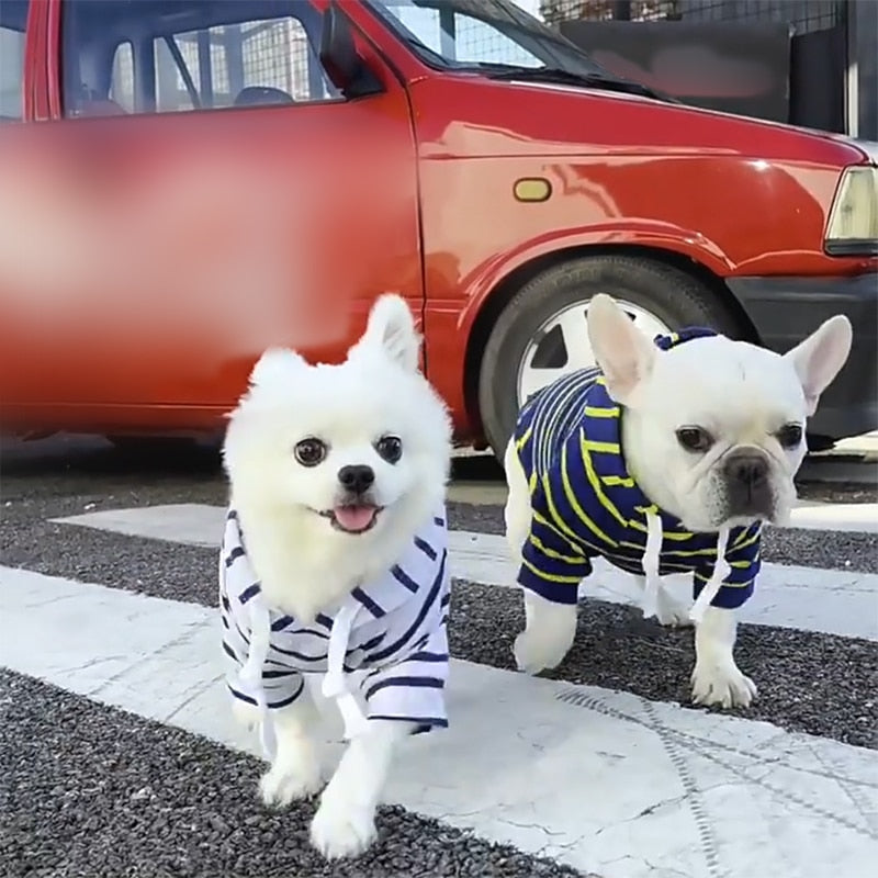Sudadera Para Perro Estilo Mascota
