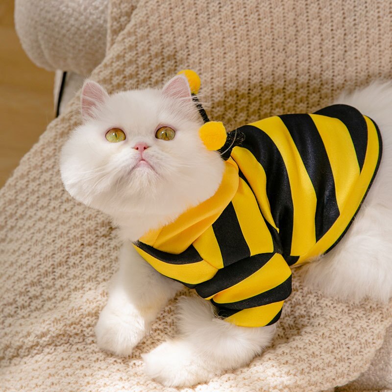 Sudadera Bee