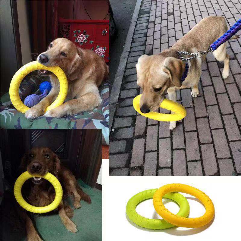 Juguete Mordedor Para Perro - Disco De Entrenamiento