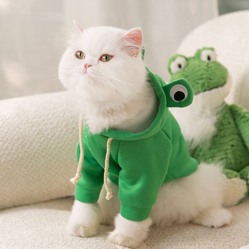 Sudadera Rana Asombrosa