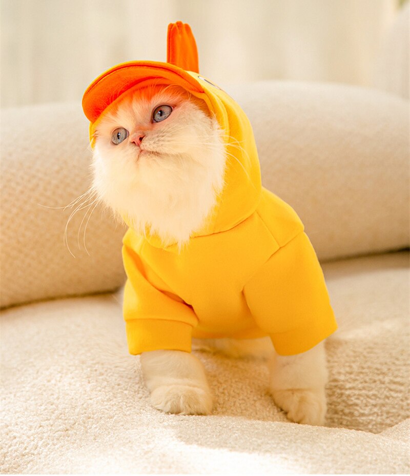 Sudadera Pollito Pequeño