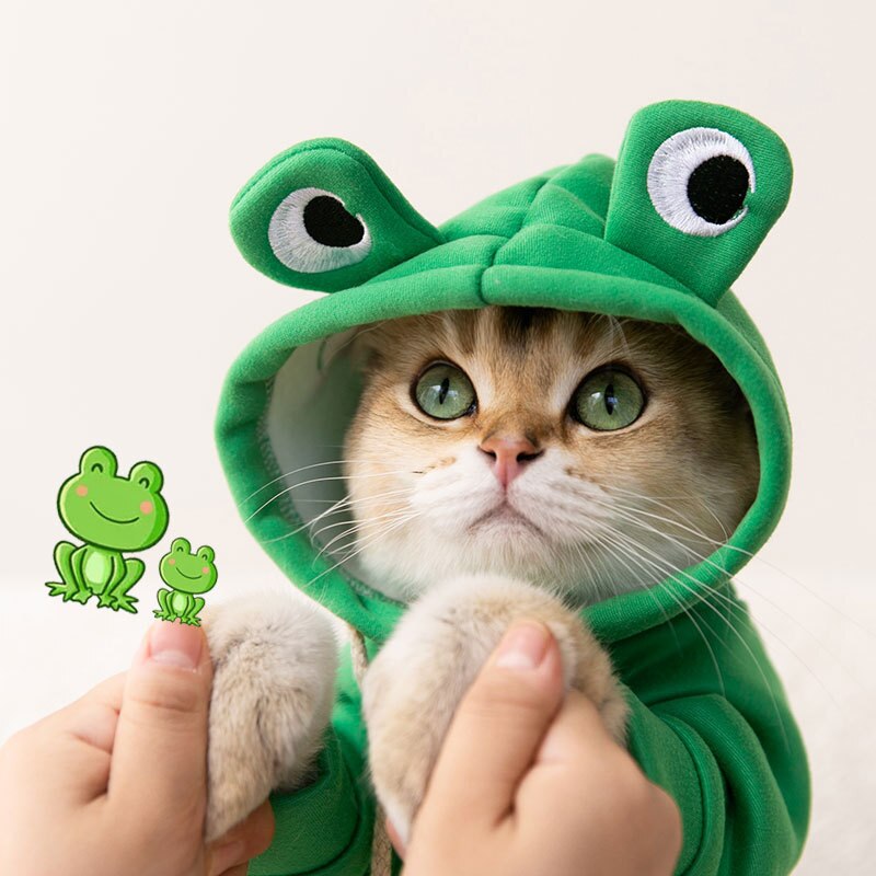 Sudadera Rana Asombrosa