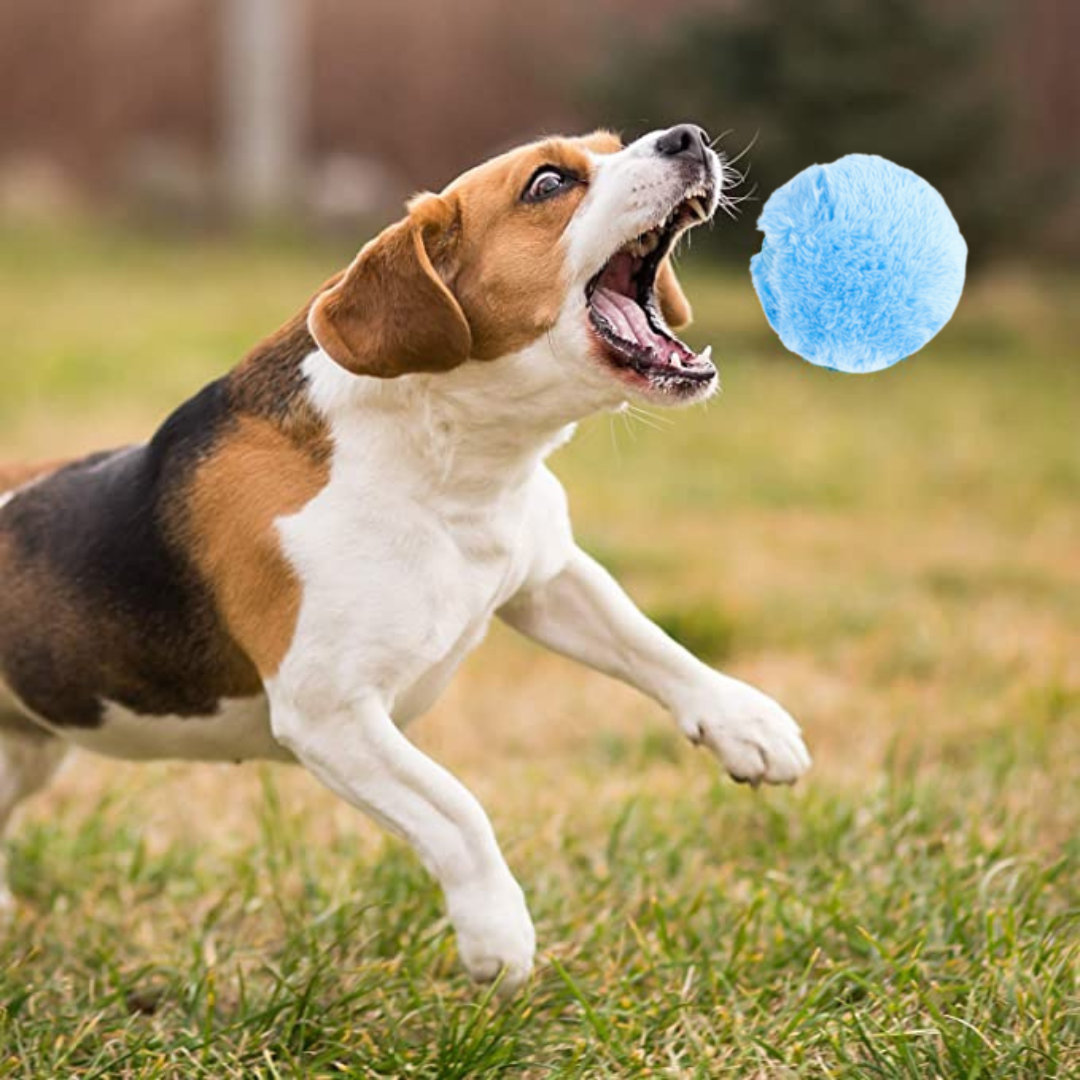 Pelota Fluffy Con Rodamiento Automático Y 4 Fundas De Peluche