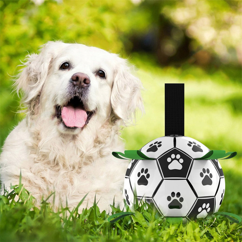 Patagol™ - Pelota Para Perros de Aventura