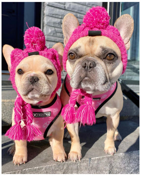 Gorro Para Mascotas Para Perros Y Gatos