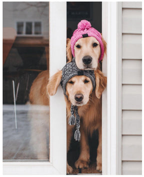 Gorro Para Mascotas Para Perros Y Gatos