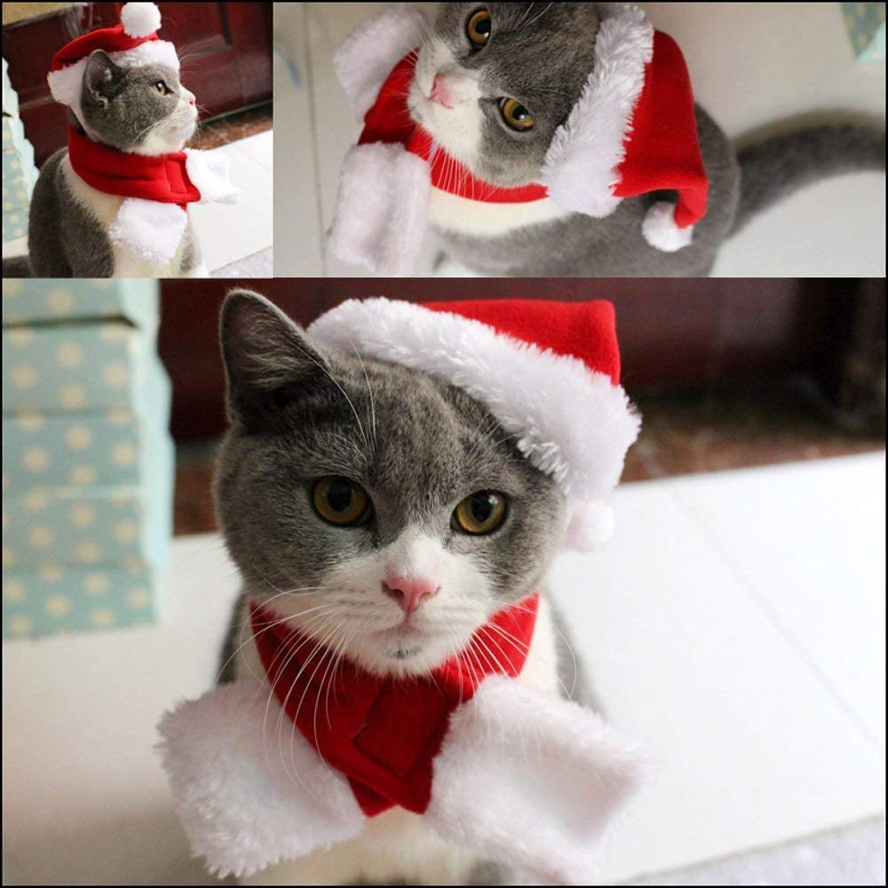 Conjunto Navideño para Mascotas | Para Perro y Gato