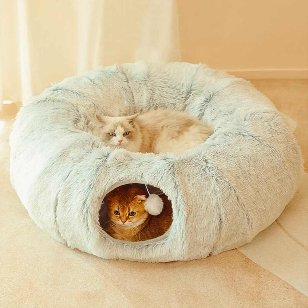 Cama 2 En 1 Para Gatos