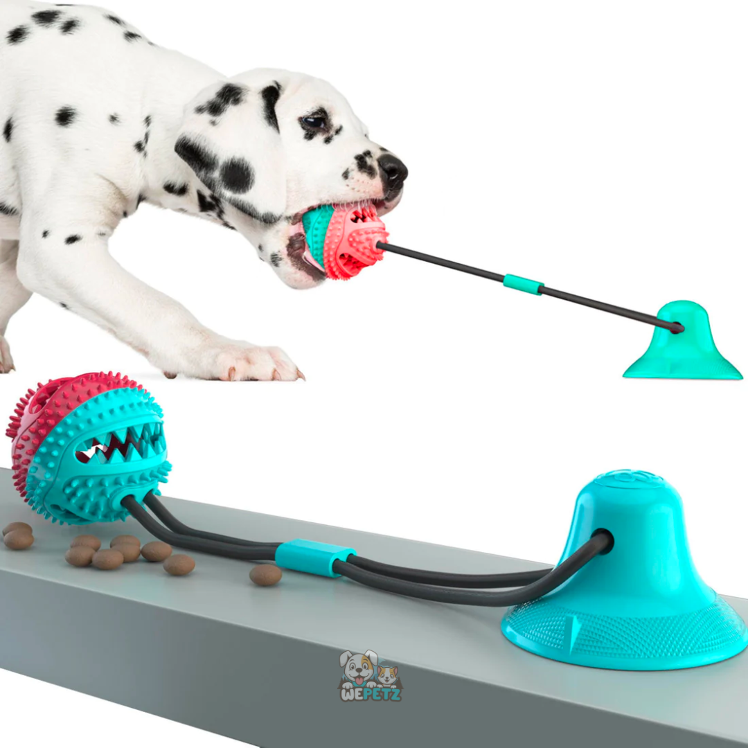 Cuerda de Guerra con Porta Golosinas y Mordedor para Perro