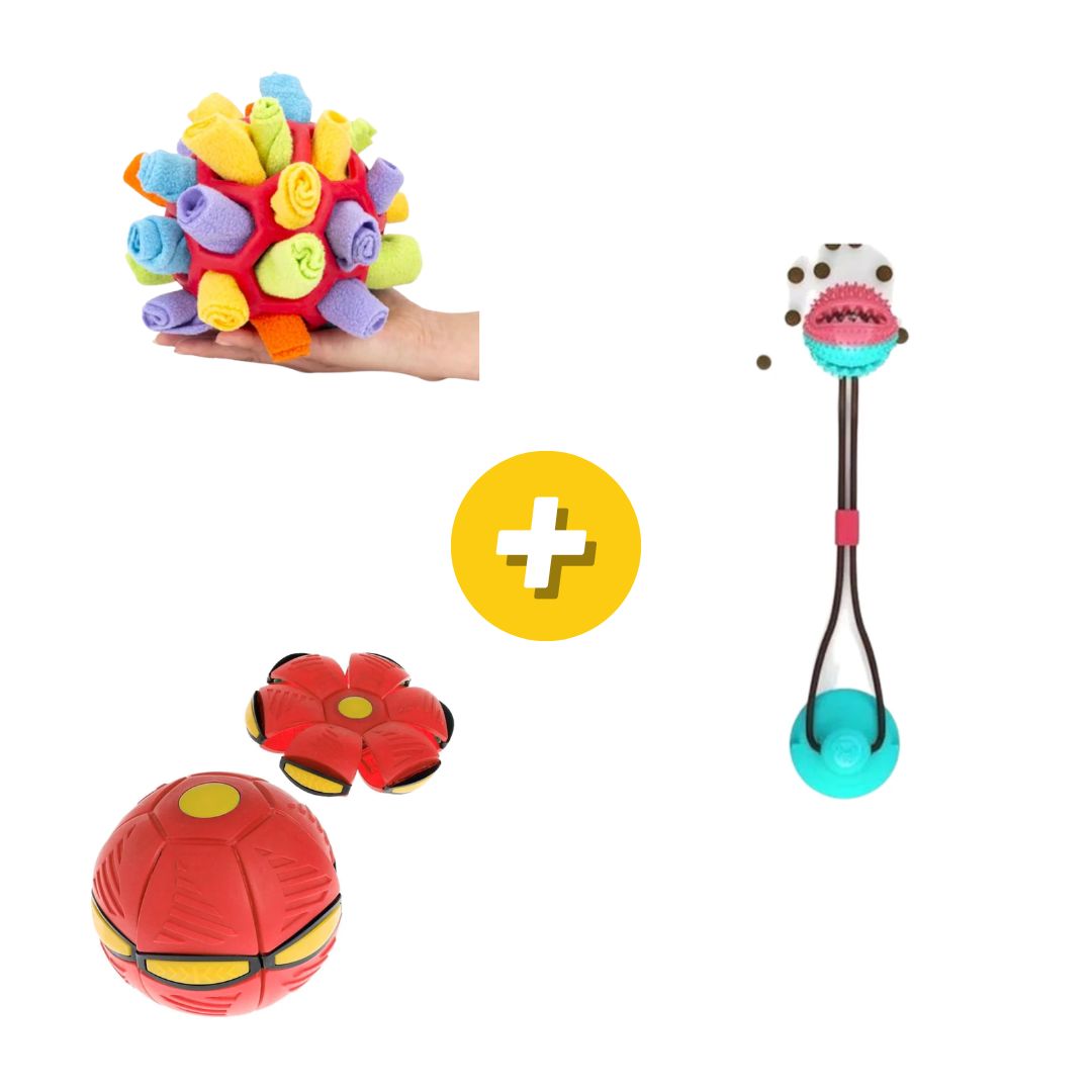 Kit Nivel 3 Snack para Mascotas, Pelota para Mascotas y Soga de Guerra