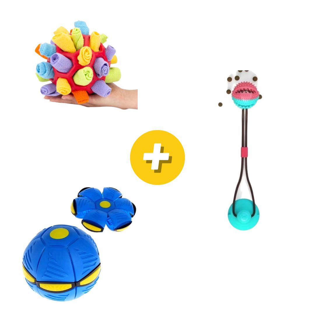 Kit Nivel 3 Snack para Mascotas, Pelota para Mascotas y Soga de Guerra