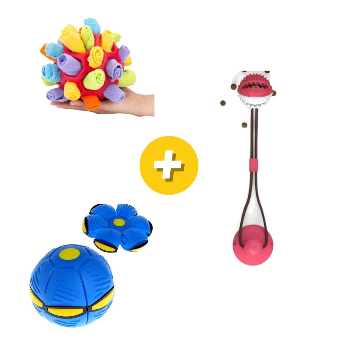 Kit Nivel 3 Snack para Mascotas, Pelota para Mascotas y Soga de Guerra