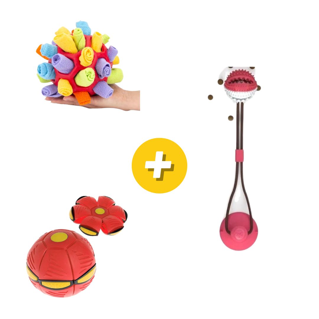 Kit Nivel 3 Snack para Mascotas, Pelota para Mascotas y Soga de Guerra