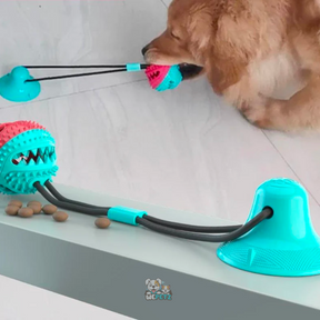 Cuerda de Guerra con Porta Golosinas y Mordedor para Perros