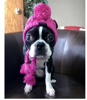 Gorro Para Mascotas Para Perros Y Gatos