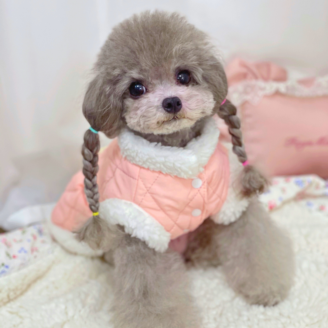 Vestidito De Invierno Para Perro Y Gato