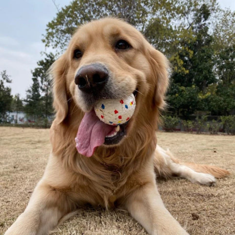 Bola Irresistible Resistente para Perros