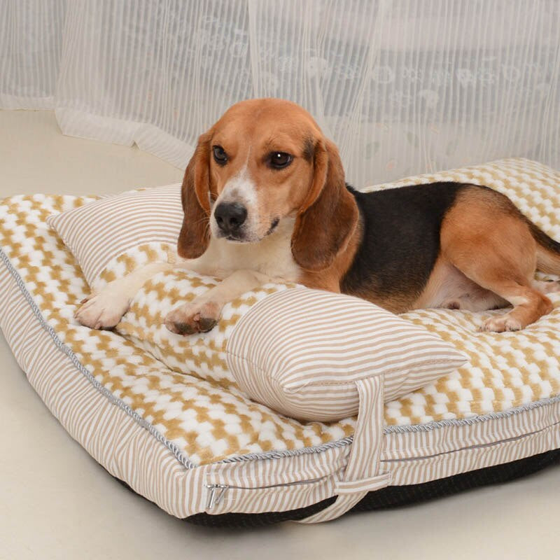 Cama Pet Amore Para Perro y Gato