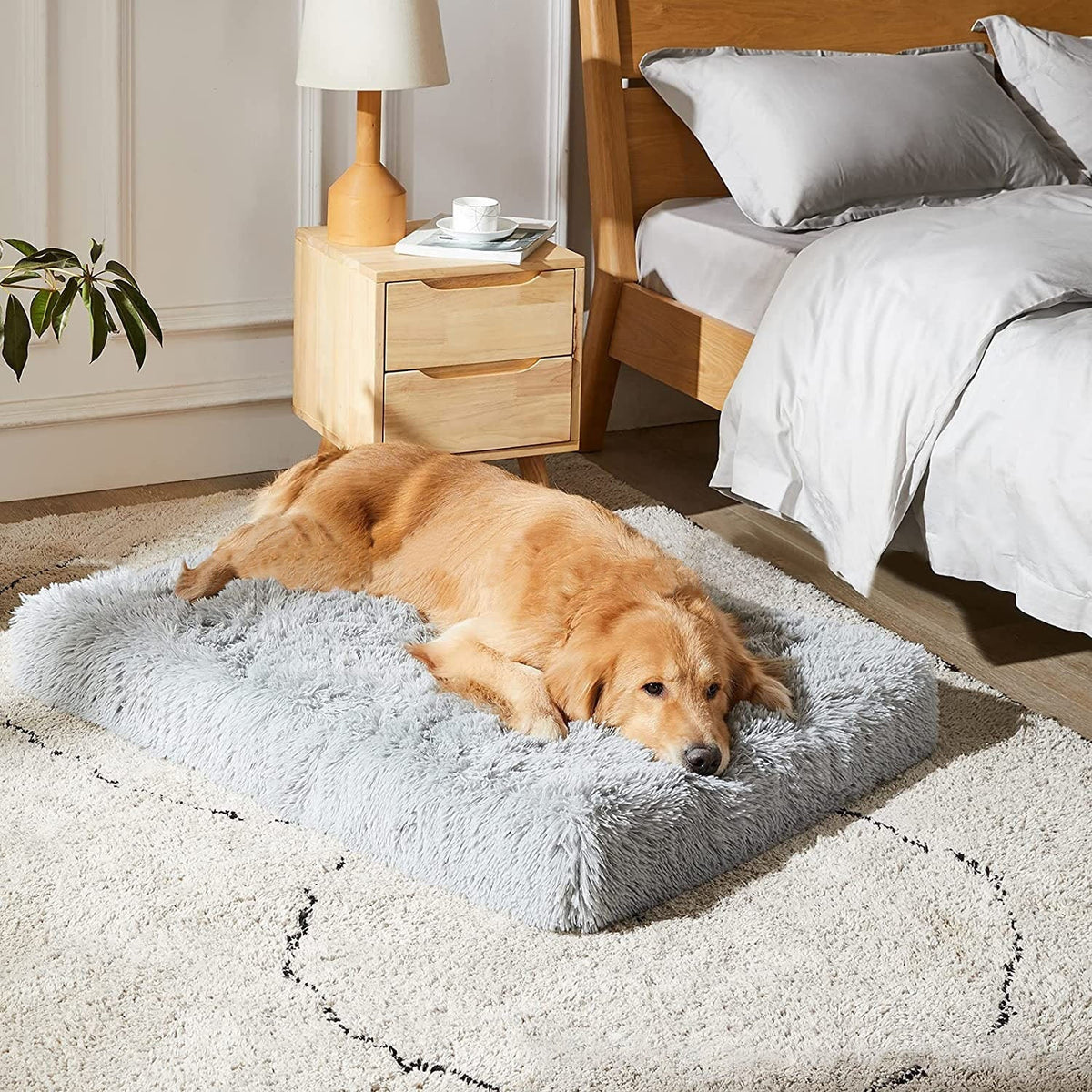 Cama Nube Majestuosa Para Perro Grande