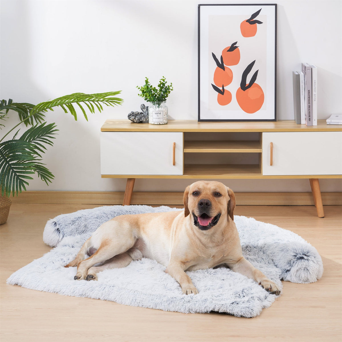 Cama Protectora Para Sofá Para Perro y Gato
