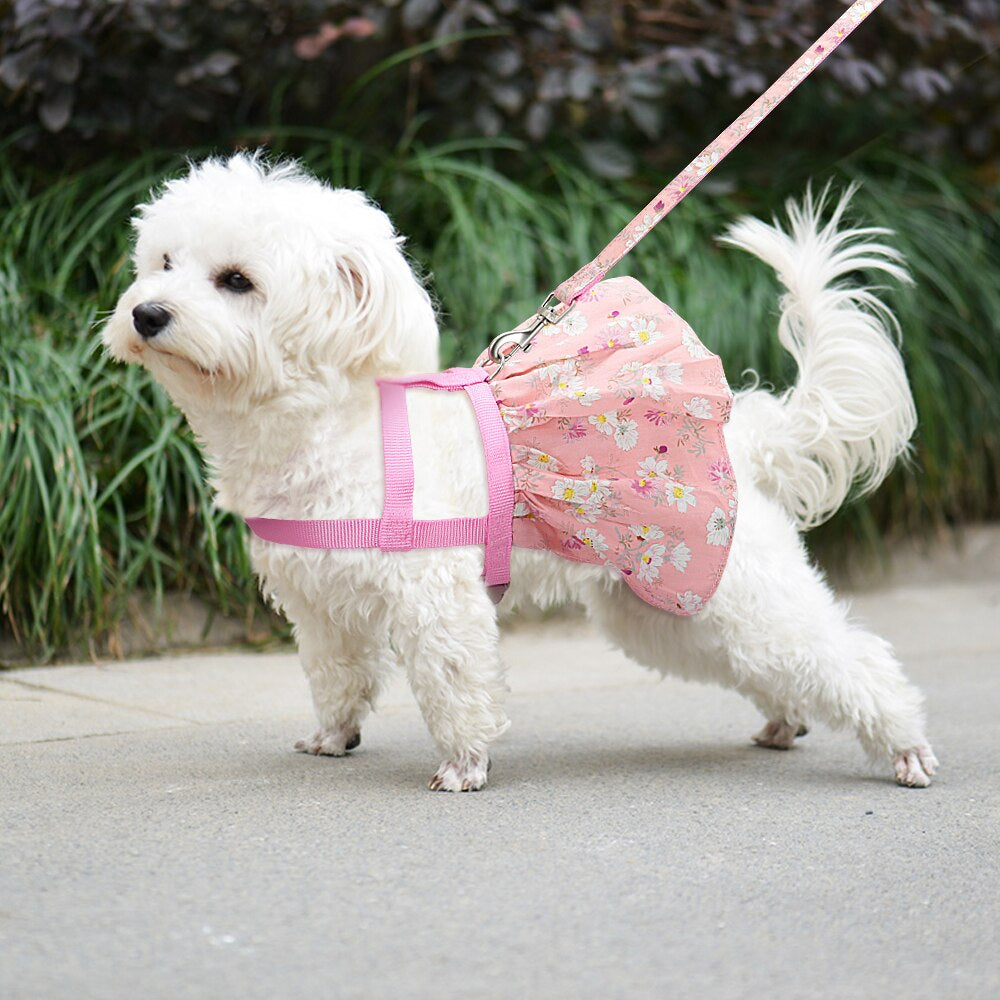 Arnés Vestidito Para Perro y Gato