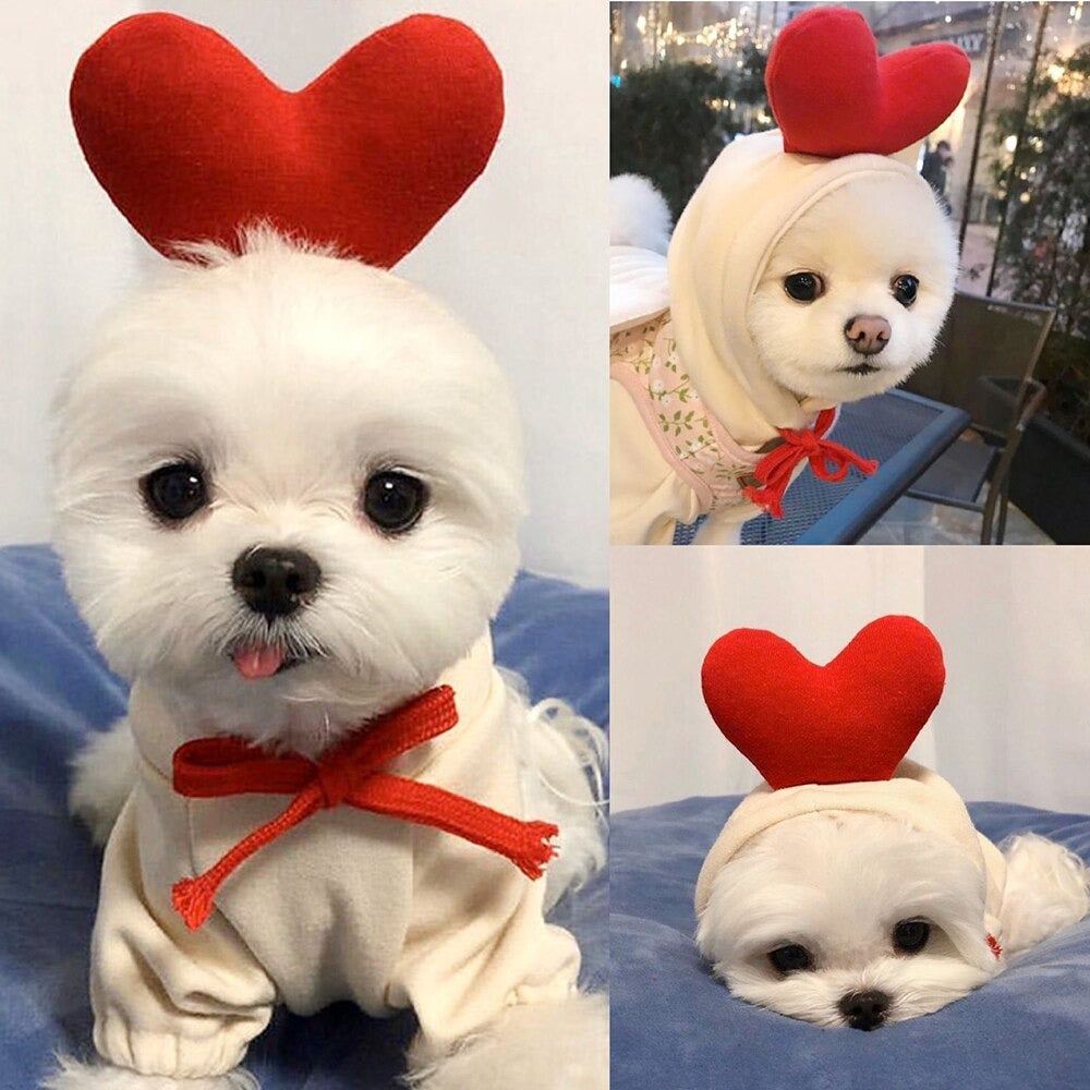 Sudadera Para Mascotas Amore | Para Perros Y Gatos