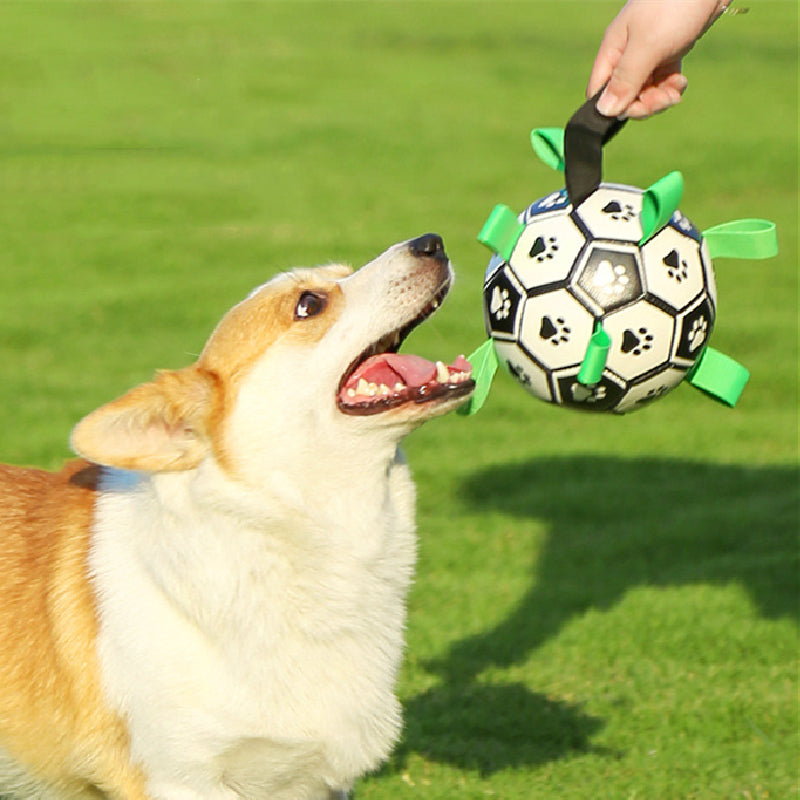 Patagol™ - Pelota Para Perros de Aventura