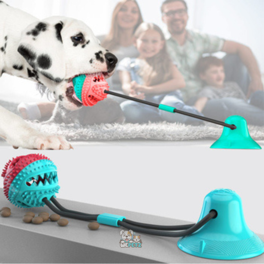 Cuerda de Guerra con Porta Golosinas y Mordedor para Perros