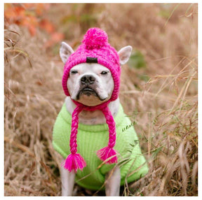 Gorro Para Mascotas Para Perros Y Gatos