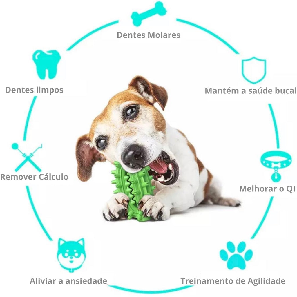 Juguete Tirador con Puerta de Golosinas y Mordedor para Perro