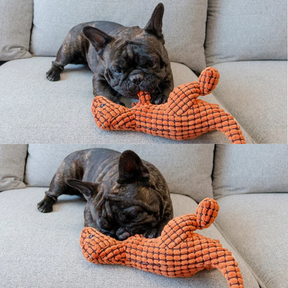 Peluche T-Rex