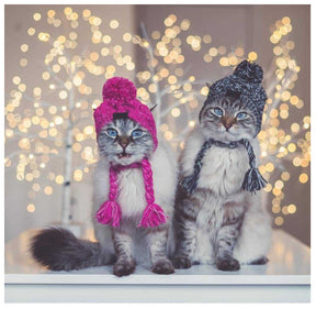 Gorro Para Mascotas Para Perros Y Gatos