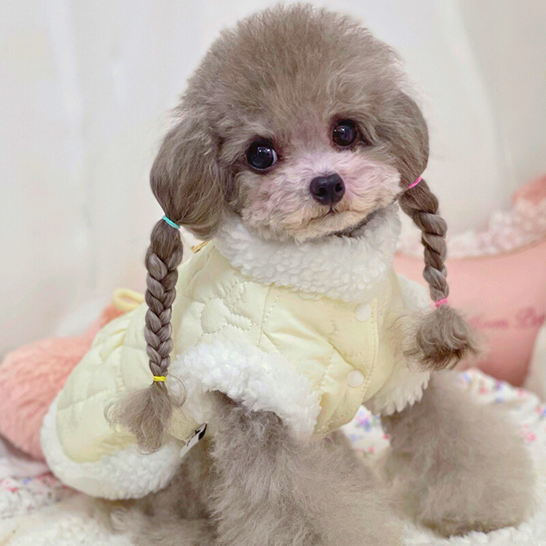 Vestidito De Invierno Para Perro Y Gato