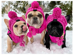Gorro Para Mascotas Para Perros Y Gatos