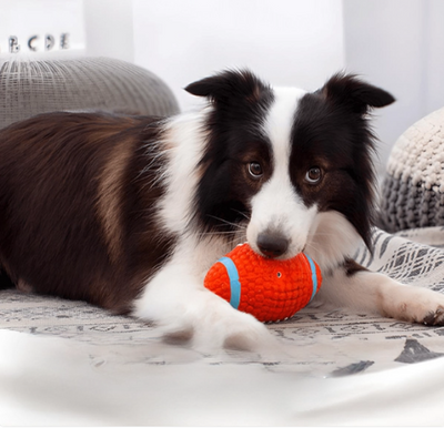 Juguete Bola Resistente para Mascotas con Costura Reforzada
