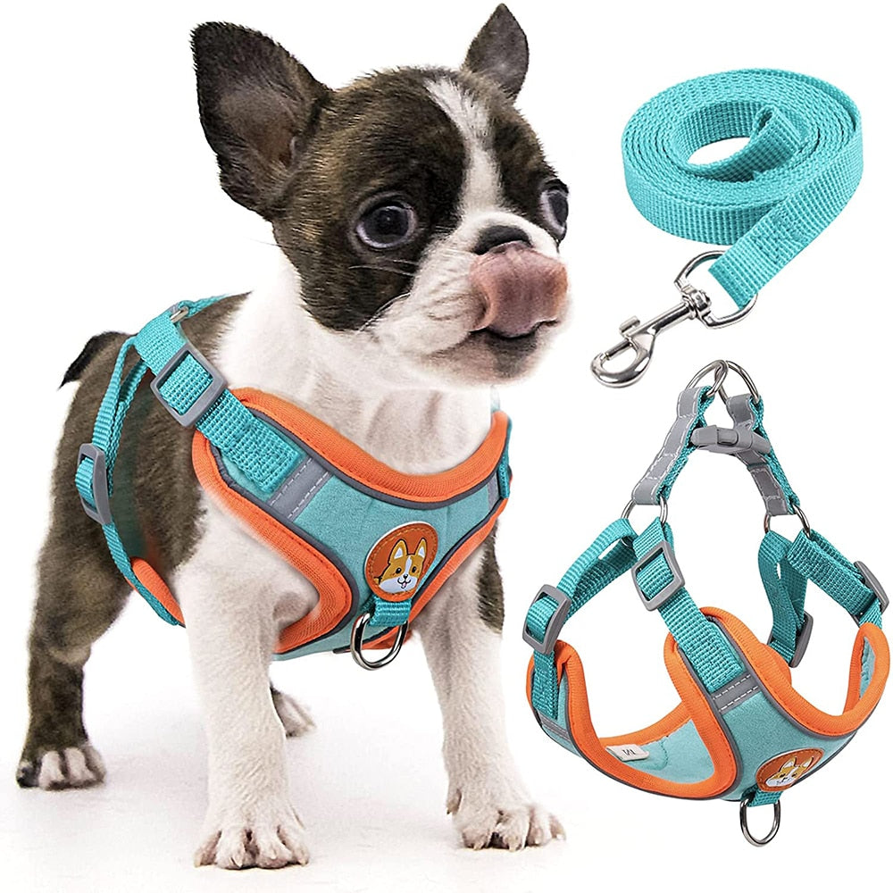 Arnés Para Perro - Pet Ride