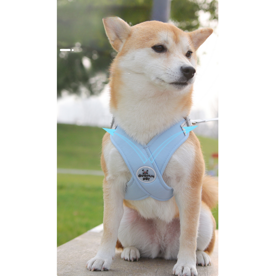 Kit Collar y Pechera Duomm