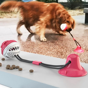 Juguete Tirador con Puerta de Golosinas y Mordedor para Perro