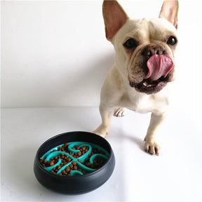 Juguete y Comedero Pet Games Laberinto Verde para Perros y Gatos