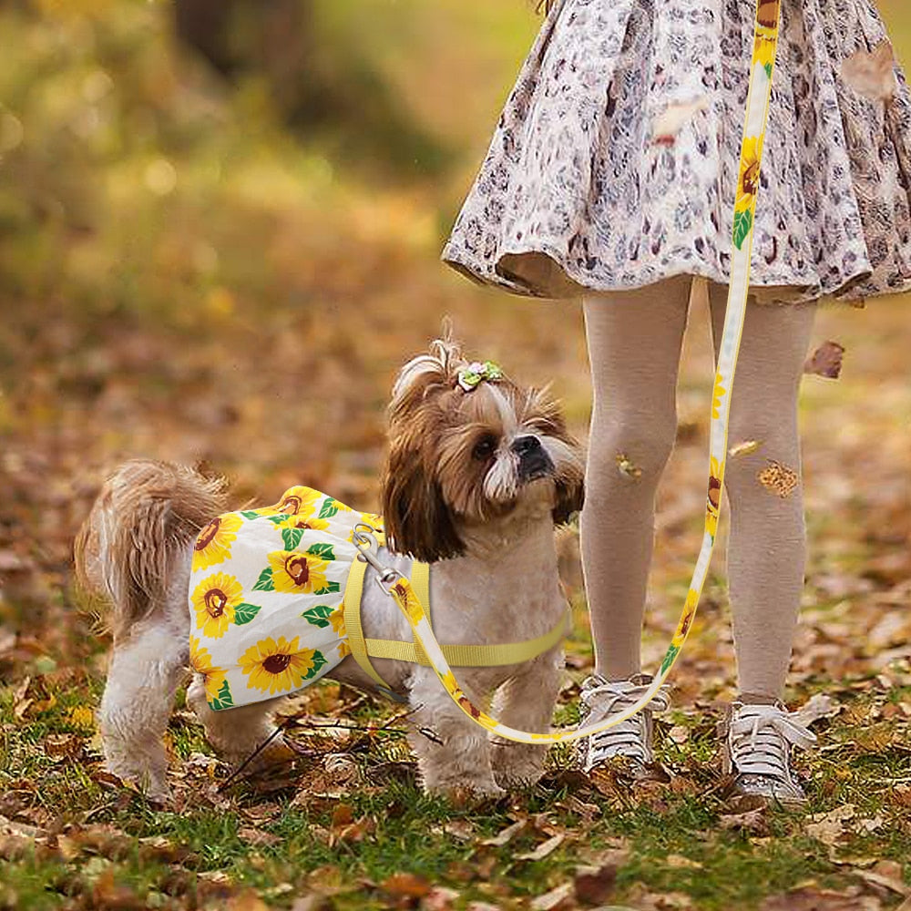 Arnés Vestidito Para Perro y Gato